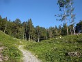 1006_Wilerhorn-Brienzer Rothorn